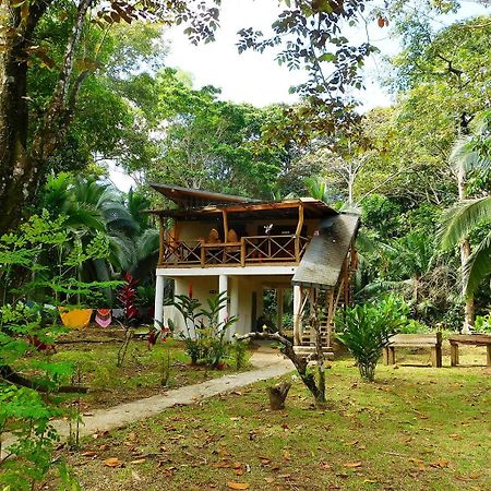 Green Corner Cahuita Extérieur photo