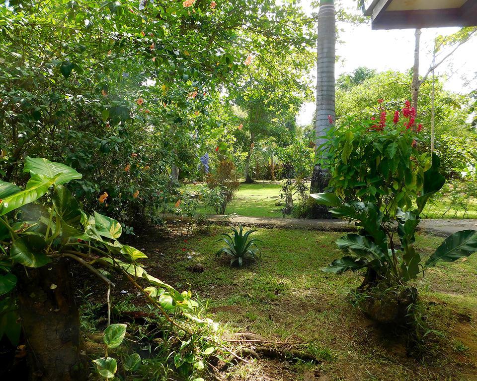 Green Corner Cahuita Extérieur photo