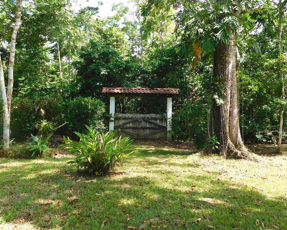 Green Corner Cahuita Extérieur photo